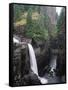 Elk Falls Park, Vancouver Island, Elk Falls Drops into a Deep Gorge-Christopher Talbot Frank-Framed Stretched Canvas