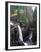 Elk Falls Park, Vancouver Island, Elk Falls Drops into a Deep Gorge-Christopher Talbot Frank-Framed Premium Photographic Print