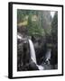 Elk Falls Park, Vancouver Island, Elk Falls Drops into a Deep Gorge-Christopher Talbot Frank-Framed Premium Photographic Print