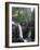 Elk Falls Park, Vancouver Island, Elk Falls Drops into a Deep Gorge-Christopher Talbot Frank-Framed Photographic Print