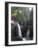 Elk Falls Park, Vancouver Island, Elk Falls Drops into a Deep Gorge-Christopher Talbot Frank-Framed Photographic Print