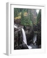 Elk Falls Park, Vancouver Island, Elk Falls Drops into a Deep Gorge-Christopher Talbot Frank-Framed Photographic Print