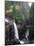 Elk Falls Park, Vancouver Island, Elk Falls Drops into a Deep Gorge-Christopher Talbot Frank-Mounted Photographic Print