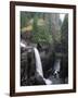 Elk Falls Park, Vancouver Island, Elk Falls Drops into a Deep Gorge-Christopher Talbot Frank-Framed Photographic Print