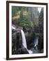 Elk Falls Park, Vancouver Island, Elk Falls Drops into a Deep Gorge-Christopher Talbot Frank-Framed Photographic Print