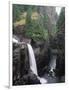 Elk Falls Park, Vancouver Island, Elk Falls Drops into a Deep Gorge-Christopher Talbot Frank-Framed Photographic Print