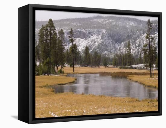 Elk, Firehole River, Yellowstone National Park, UNESCO World Heritage Site, Wyoming, USA-Pitamitz Sergio-Framed Stretched Canvas