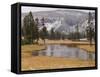 Elk, Firehole River, Yellowstone National Park, UNESCO World Heritage Site, Wyoming, USA-Pitamitz Sergio-Framed Stretched Canvas