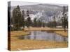 Elk, Firehole River, Yellowstone National Park, UNESCO World Heritage Site, Wyoming, USA-Pitamitz Sergio-Stretched Canvas