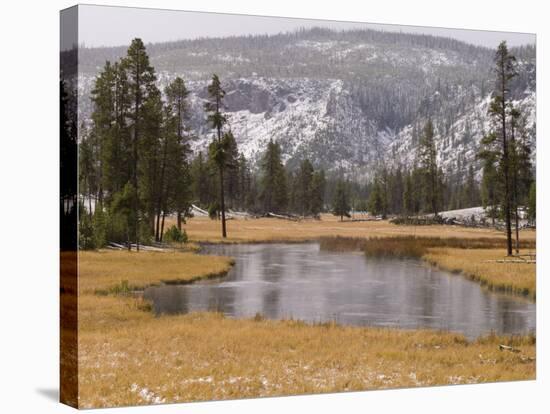 Elk, Firehole River, Yellowstone National Park, UNESCO World Heritage Site, Wyoming, USA-Pitamitz Sergio-Stretched Canvas