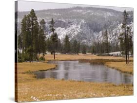 Elk, Firehole River, Yellowstone National Park, UNESCO World Heritage Site, Wyoming, USA-Pitamitz Sergio-Stretched Canvas