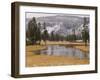 Elk, Firehole River, Yellowstone National Park, UNESCO World Heritage Site, Wyoming, USA-Pitamitz Sergio-Framed Photographic Print