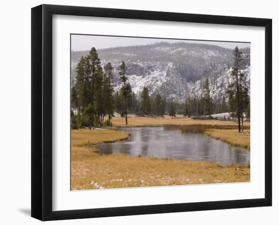 Elk, Firehole River, Yellowstone National Park, UNESCO World Heritage Site, Wyoming, USA-Pitamitz Sergio-Framed Photographic Print