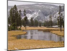 Elk, Firehole River, Yellowstone National Park, UNESCO World Heritage Site, Wyoming, USA-Pitamitz Sergio-Mounted Photographic Print