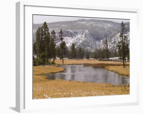 Elk, Firehole River, Yellowstone National Park, UNESCO World Heritage Site, Wyoming, USA-Pitamitz Sergio-Framed Photographic Print