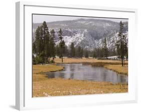 Elk, Firehole River, Yellowstone National Park, UNESCO World Heritage Site, Wyoming, USA-Pitamitz Sergio-Framed Photographic Print