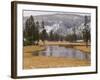 Elk, Firehole River, Yellowstone National Park, UNESCO World Heritage Site, Wyoming, USA-Pitamitz Sergio-Framed Photographic Print