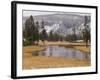 Elk, Firehole River, Yellowstone National Park, UNESCO World Heritage Site, Wyoming, USA-Pitamitz Sergio-Framed Photographic Print