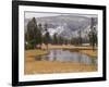 Elk, Firehole River, Yellowstone National Park, UNESCO World Heritage Site, Wyoming, USA-Pitamitz Sergio-Framed Photographic Print