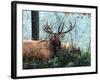 Elk Foraging-Kevin Daniel-Framed Art Print