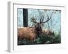Elk Foraging-Kevin Daniel-Framed Art Print