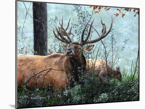 Elk Foraging-Kevin Daniel-Mounted Art Print
