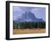 Elk Grazing in Foreground with Mt. Moran in the Background-Eliot Elisofon-Framed Photographic Print