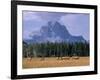 Elk Grazing in Foreground with Mt. Moran in the Background-Eliot Elisofon-Framed Photographic Print