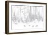 Elk Grazing-Howard Ruby-Framed Photographic Print