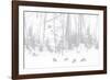 Elk Grazing-Howard Ruby-Framed Photographic Print