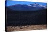 Elk Herd near Long's Peak-W. Perry Conway-Stretched Canvas