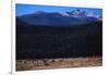 Elk Herd near Long's Peak-W. Perry Conway-Framed Photographic Print