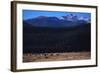 Elk Herd near Long's Peak-W. Perry Conway-Framed Photographic Print