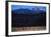 Elk Herd near Long's Peak-W. Perry Conway-Framed Photographic Print