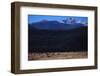 Elk Herd near Long's Peak-W. Perry Conway-Framed Photographic Print