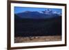 Elk Herd near Long's Peak-W. Perry Conway-Framed Photographic Print