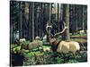 Elk Herd-Fred Ludekens-Stretched Canvas