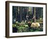 Elk Herd-Fred Ludekens-Framed Giclee Print