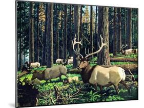 Elk Herd-Fred Ludekens-Mounted Giclee Print