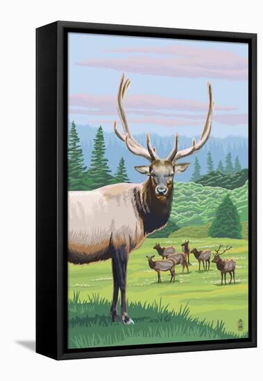 Elk Herd-Lantern Press-Framed Stretched Canvas