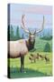 Elk Herd-Lantern Press-Stretched Canvas