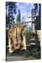 Elk Hide over Wooden Rack for Easy Scraping and Tanning. Alaska-Angel Wynn-Stretched Canvas