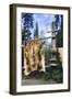 Elk Hide over Wooden Rack for Easy Scraping and Tanning. Alaska-Angel Wynn-Framed Photographic Print