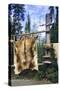 Elk Hide over Wooden Rack for Easy Scraping and Tanning. Alaska-Angel Wynn-Stretched Canvas