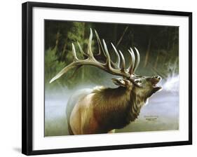 Elk in Mist-Spencer Williams-Framed Giclee Print