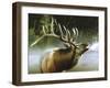 Elk in Mist-Spencer Williams-Framed Giclee Print