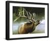 Elk in Mist-Spencer Williams-Framed Giclee Print