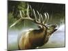 Elk in Mist-Spencer Williams-Mounted Giclee Print