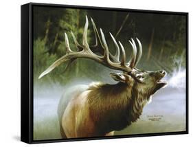 Elk in Mist-Spencer Williams-Framed Stretched Canvas