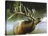 Elk in Mist-Spencer Williams-Stretched Canvas